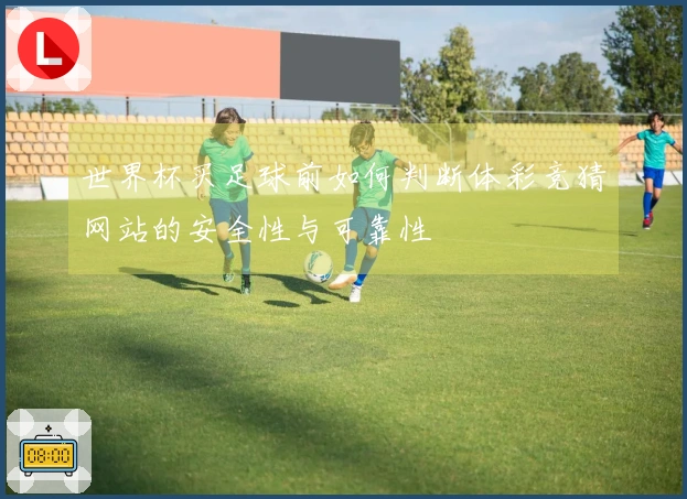 世界杯买足球前如何判断体彩竞猜网站的安全性与可靠性