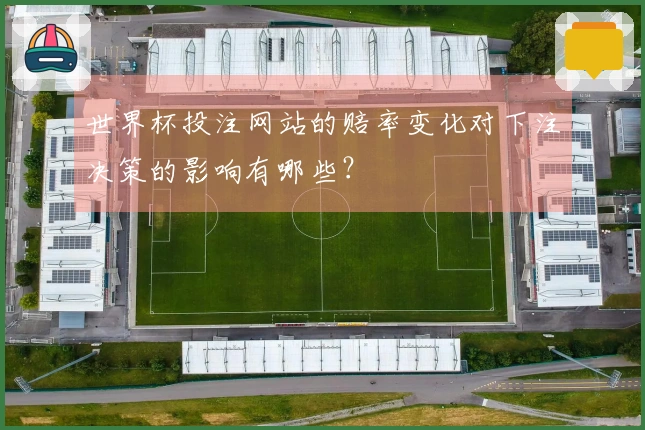 世界杯投注网站的赔率变化对下注决策的影响有哪些?