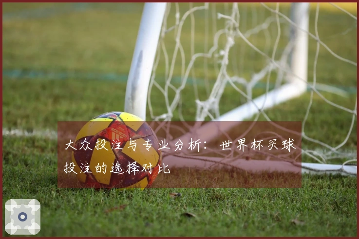 大众投注与专业分析：世界杯买球投注的选择对比
