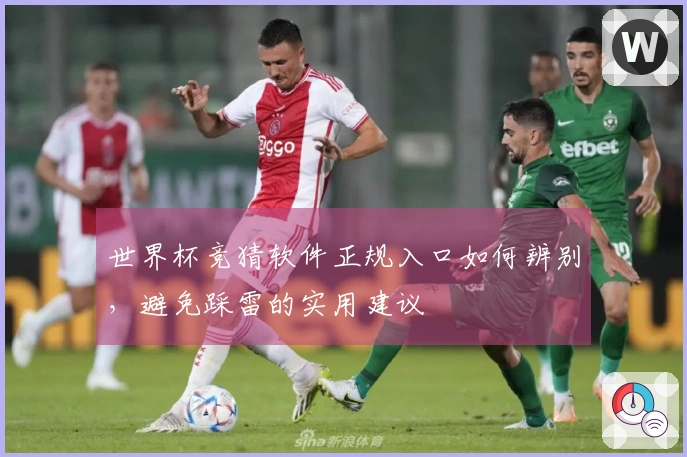 世界杯竞猜软件正规入口如何辨别，避免踩雷的实用建议